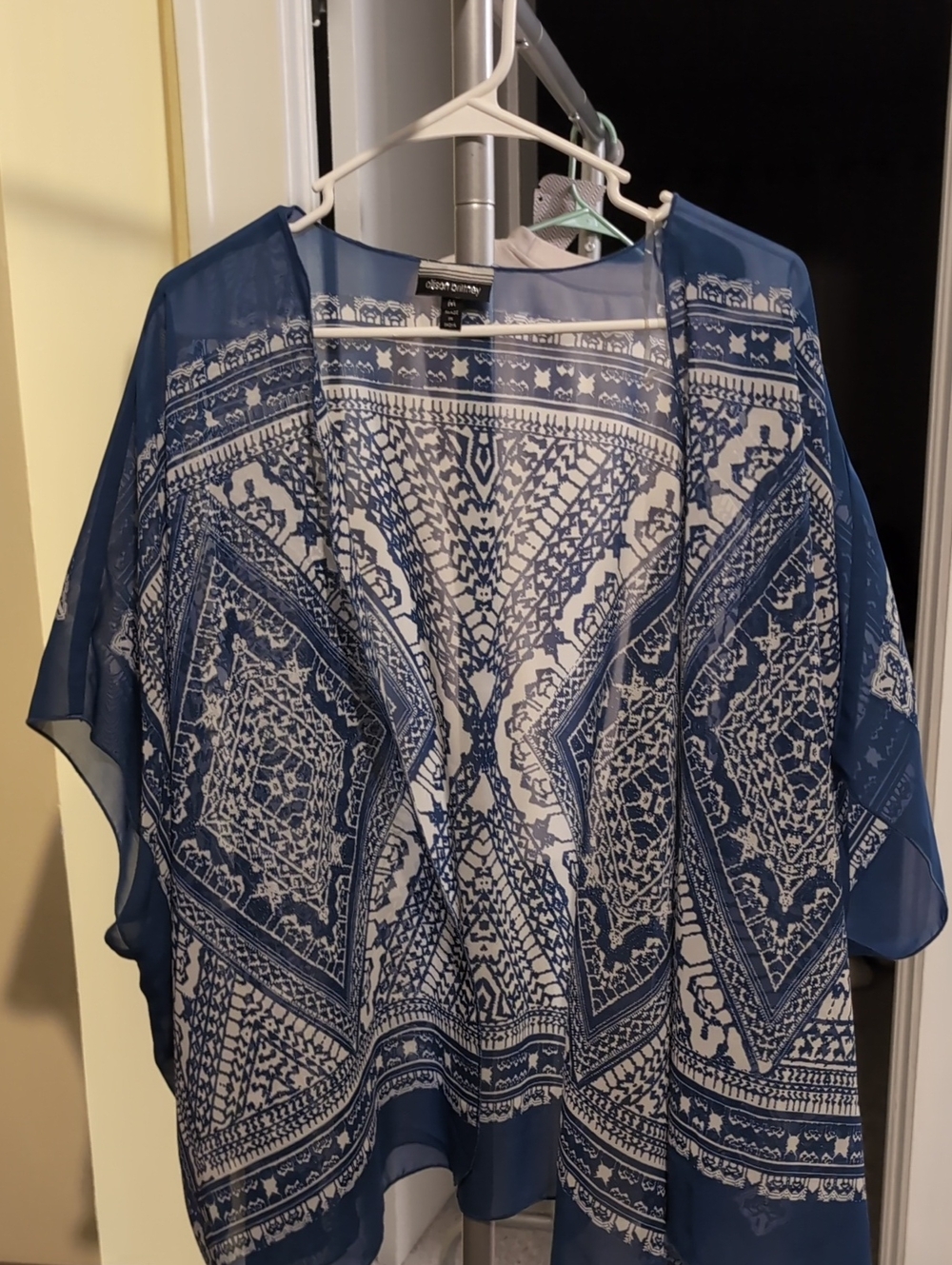 Allison Brittney Blue & White Sheer Printed Kimono